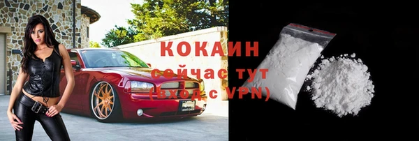 твердый Алексин