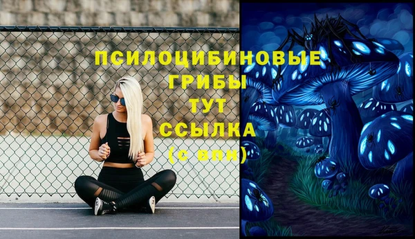 твердый Алексин