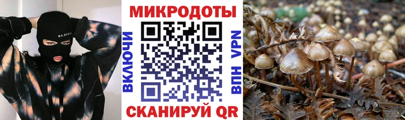Псилоцибиновые грибы прущие грибы  Ивангород 